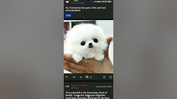 Opening Infinity for Reddit and Slide for Reddit on the Reddit APIs deadline. (UTC +8)