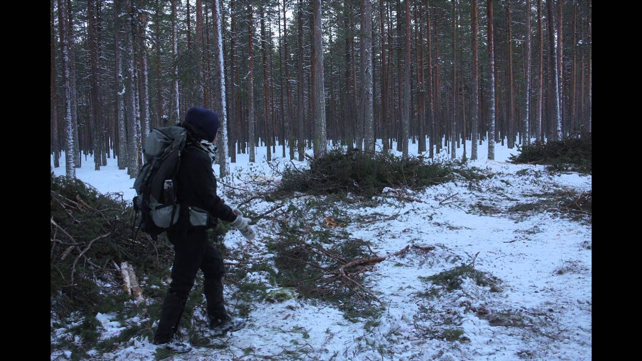Ärjänsaari  -  Oulujärven helmi
