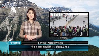 特鲁多当众被骂“软柿子”！这回真的有点惨 |  华人大妈被困武汉，开视频远程买房 ，加价35万抢下豪宅  |  中国吃货不敢吃了，加拿大螃蟹又泛滥成灾（《港湾播报》2020 CEXG）