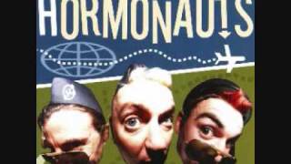 Video thumbnail of "The Hormonauts - This cat's too fat - 13 - Hormone Airlines"