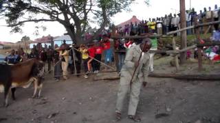 Download Amakhosi akwaNdlovu ngokulandelana kwawo! by Baba Kwazi Ndlovu. Mp3 Download Amakhosi akwaNdlovu ngokulandelana kwawo! by Baba Kwazi Ndlovu. Mp3