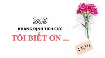 LÒNG BIẾT ƠN (tần số của sự đủ đầy) || 21 Ngày Chuyển Hóa Bản Thân || 369 Khẳng Định (432Hz)