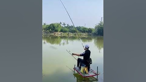 Cách Cân Phao Câu Cá Trắm Cỏ, Cá Chép Bằng Ngô Cực Kỳ Hiệu Quả AE Cần Thủ Nên Lưu Ý