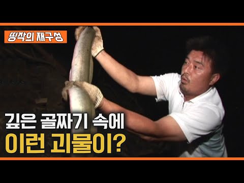 대물장어가 나온다는 포인트에 다녀왔습니다. [띵작의 재구성 - 장어, 어둠 속의 괴물]