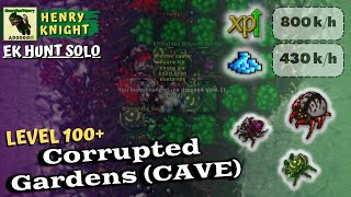 Celebrity TIBIA: EK HUNT SOLO #143 | EK 100+ Hunt Solo Brimstone Bugs | 800k/h XP (Corrupted Gardens - Cave) Net Worth