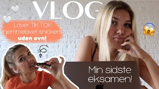 SIDSTE EKSAMEN - Vlog fra de sidste par dage 🧡