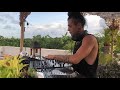 The Note V | Tulum BEST Melodic House 2020 | by @EPHIMERA Tulum