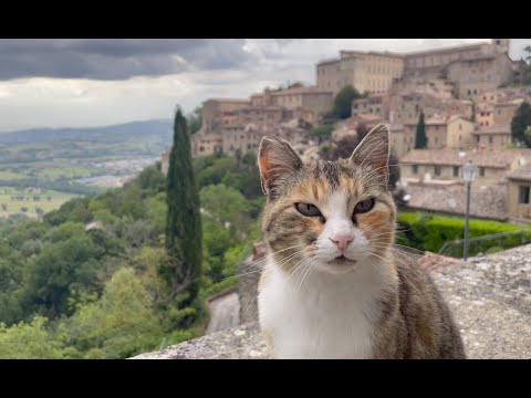 Painting With Pete, Episode 4, ITALY! (Part 1)