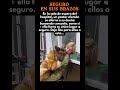 🐕🦺💙 Seguro en Sus Brazos #LoyalDog #Heartwarming #PetLove #AnimalBond #DogStory #Emotional