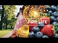 MITOLYN Review – Natural Energy Support?