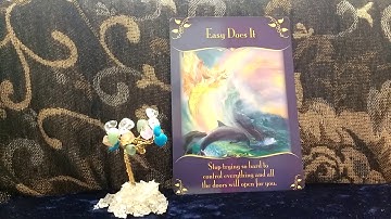 Daily Oracle Card Reading 28th February 2018 Magical messsages from the fairies tarot