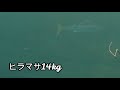 【魚突き】過去の漁獲6【Spearfishing in JAPAN】