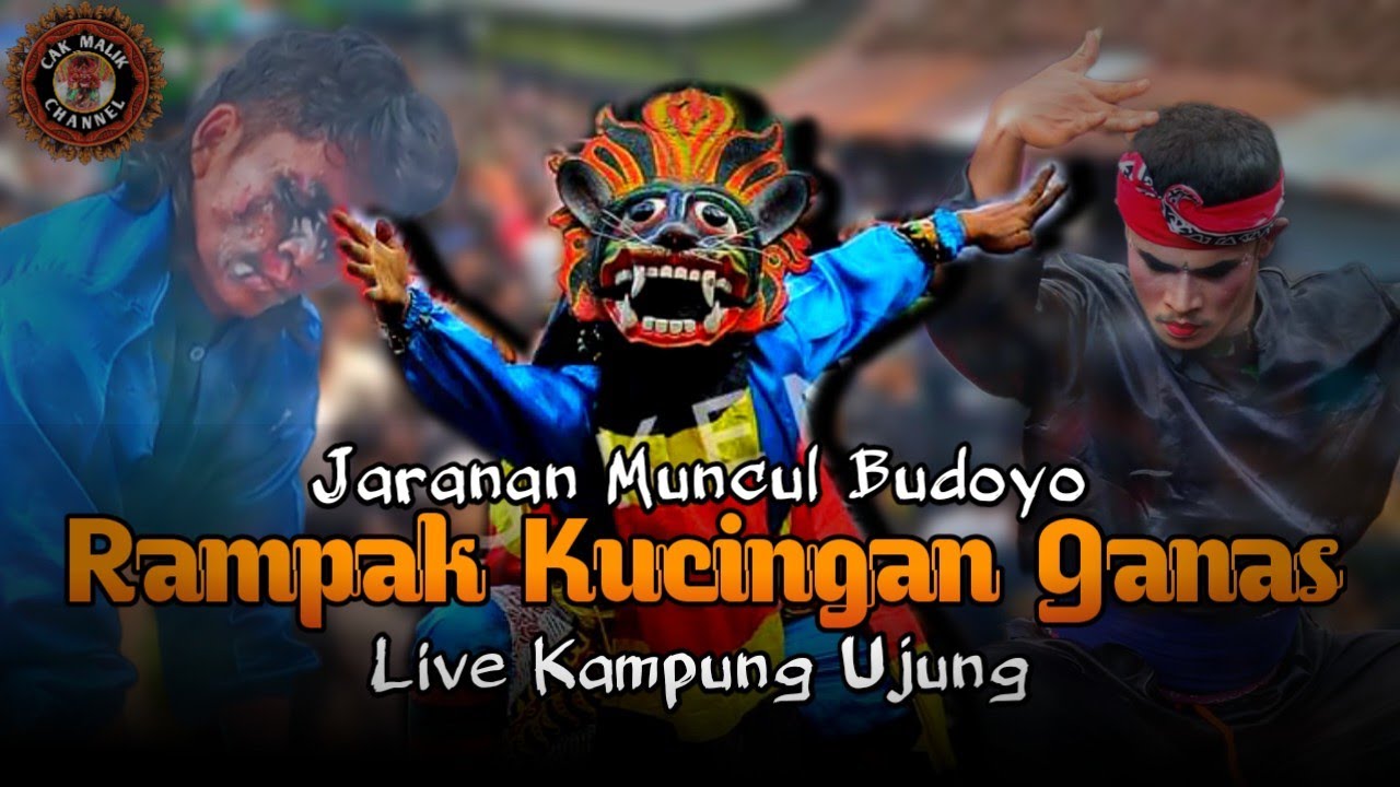 Aksi ganas cak Bus & Cak yon!!Rampak Kucingan jaranan Muncul Budoyo live Kampung Ujung,Banyuwangi