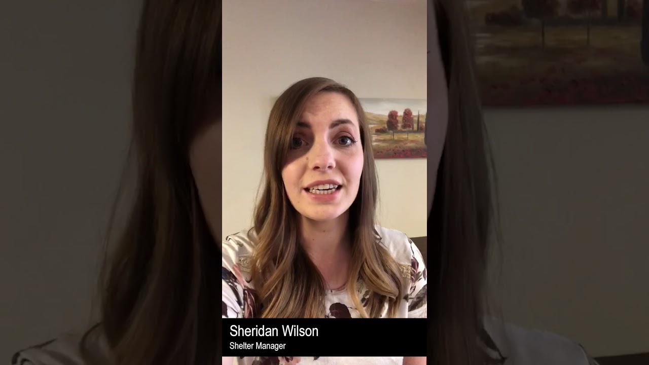 DOVE Center is here for you