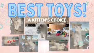 My Ragdoll Kitten's Favorite Toys by MiyuKitty 279 views 1 year ago 3 minutes, 56 seconds