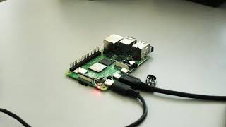 Offline Real-time Speech Recognition on a Rasbperry Pi with a custom RNN-T model
