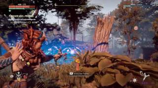 Horizon Zero Dawn - Pirscher Kill Prüfung