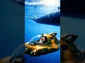 Calm Underwater Ambience