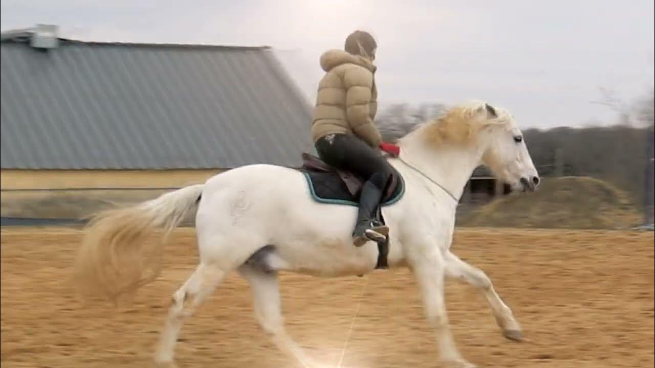 Nothing Beats Kindness YouTube nothing-beats-kindness-youtube