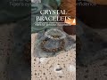 Capricorn essentials ♑️ #amethyst #azurite #botswanaagate #carnelian #celestite #citrine