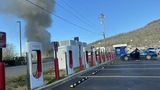 Tesla bioweapon defense mode activated!