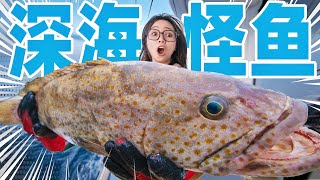 花20000元包一艘船在马来西亚海钓一天能赚多少钱 | Sea fishing