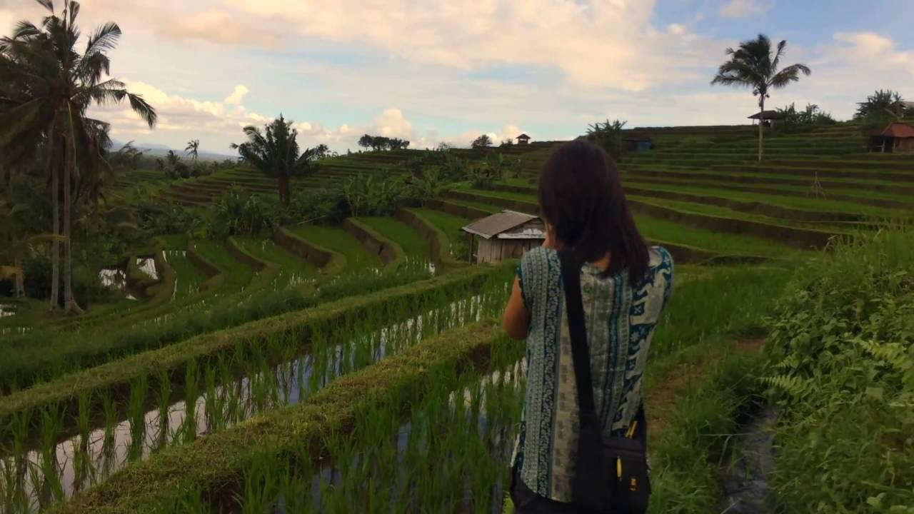 A Glimpse of Bali Countryside