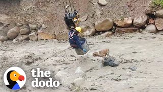 Dog Stranded In Raging River Rescued By Construction Workers | The Dodo by The Dodo 2,447,271 views 3 days ago 3 minutes, 18 seconds