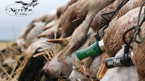 Xciter Calls "The Results Don