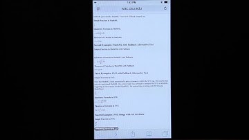 Accessibility Demo ios