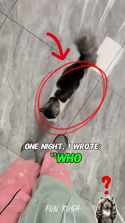 My Cat FAINTS Every Time I Say “Bath” — And I Caught It on Camera