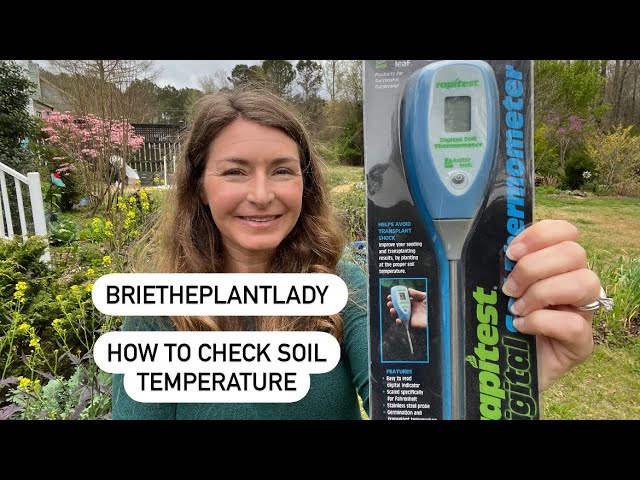 How to Test Soil Temperature 