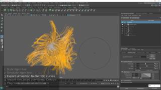 Ornatrix Maya: Export XGen simulation to Ornatrix