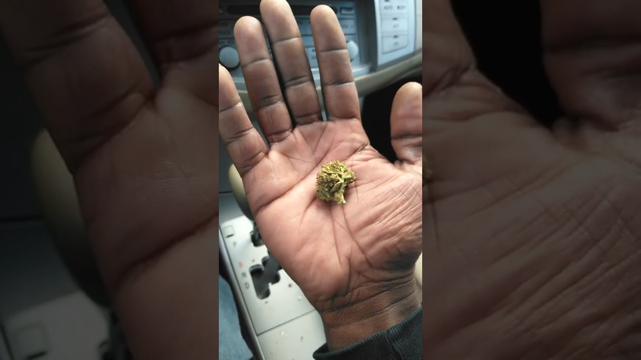 Champagne Cush • THC • Weed