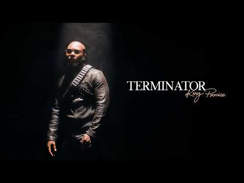 King Promise - Terminator (Official Audio)