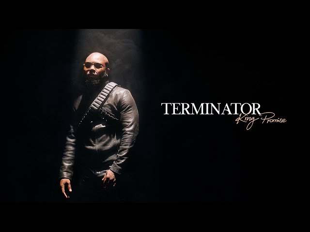 King Promise - Terminator (Official Audio) class=