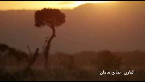آيات الصيام بصوت القارئ/ صالح مامان