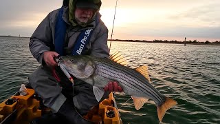 Striped Bass in the Cold at Dawn of New Season!