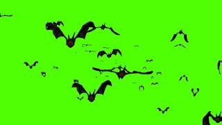 #Футаж летучии мыши летят на тебя хромокей ◄4K•HD► #Footage bats fly at you chromakey