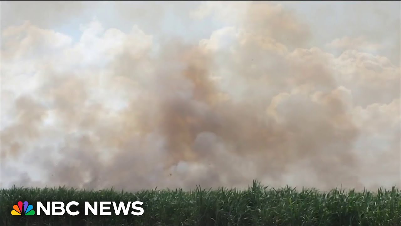Inside the power and politics of Florida’s sugar industry Inside the power and politics of Florida’s sugar industry