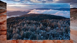 The Frank and Joan Randall Preserve at the Tehachapi Mountains | Places We Protect by The Nature Conservancy in California 20,554 views 2 years ago 3 minutes, 21 seconds