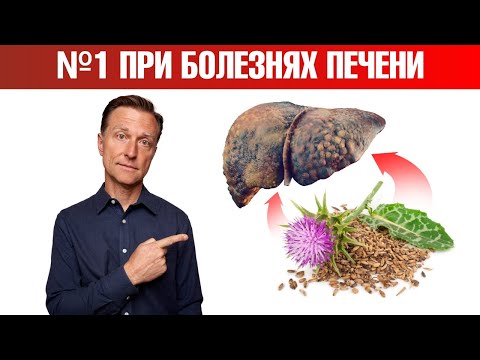 Трава №1 при заболеваниях печени. Восстановление печени🤗