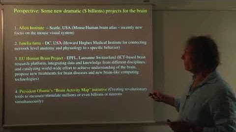 07 cortical networks out of the blue project 01 lesson 7 01 mega projects for the brain