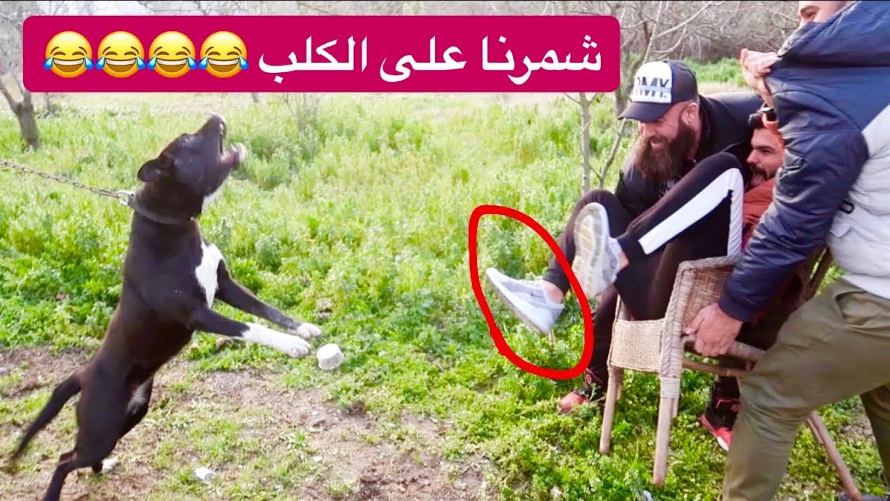 كيف تمقلب صديقك  - ذبينا عزوز على الكلب😂 - #جعفر_سراب