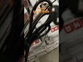 USHA. Waterproof 1000 W Shock Proof Immersion Heater Rod (water) Unboxing 🎉🎁🥳👍 Buy On DMart