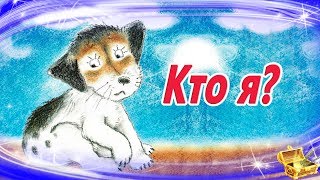 Кто Я? Сказки На Ночь | Аудиосказки Для Детей | Сказки Онлайн | Сказки Для Детей