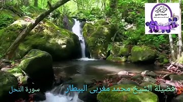 سورة النحل- قيام رمضان ١٤٤٠- الشيخ محمد البيطار
