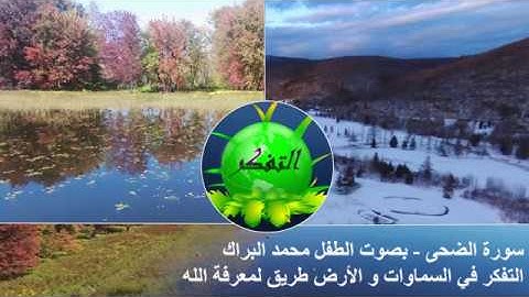 سورة الضحى - بصوت الطفل محمد البراك - قناة التفكر