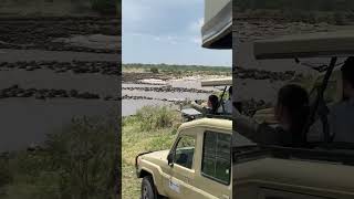 Unforgettable Memories