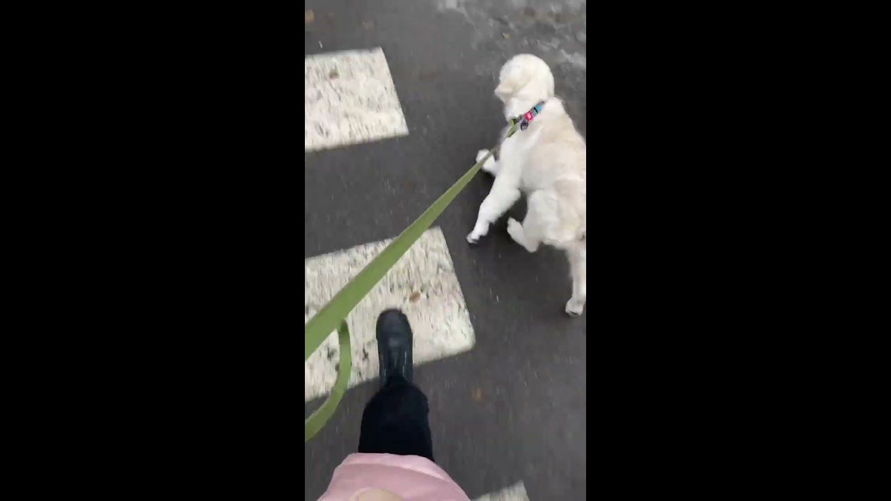 Curiosity Pushes
